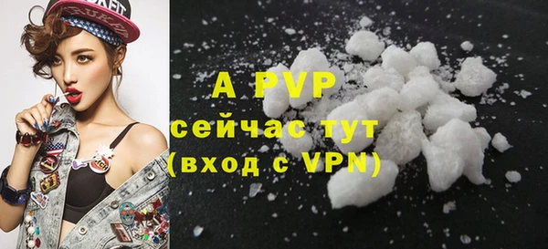 apvp Дмитриев