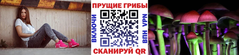 Псилоцибиновые грибы GOLDEN TEACHER  Пушкино 